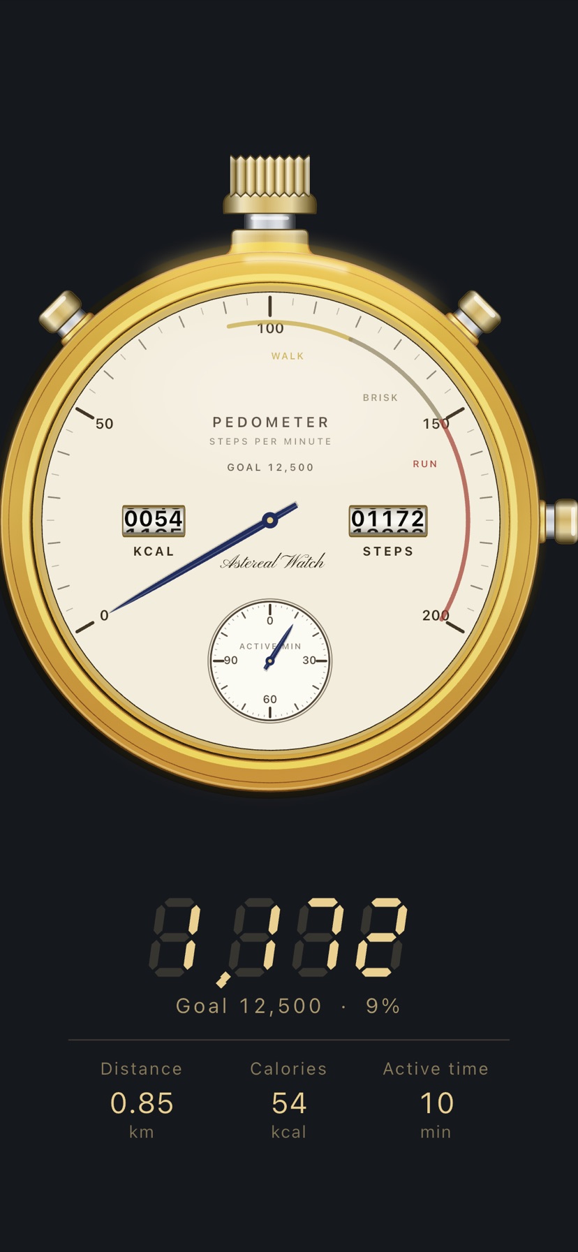 Pedometer watch face